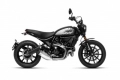 All original and replacement parts for your Ducati Scrambler Icon Brasil 803 2020.
